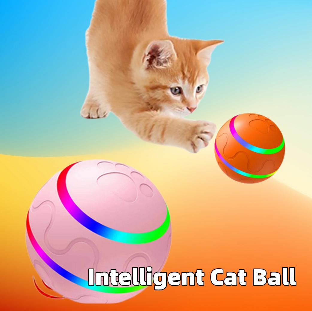 ee1aa701 c43d 43e6 b55f e9cbd72c2c04.jpg ee1aa701 c43d 43e6 b55f e9cbd72c2c04.jpg